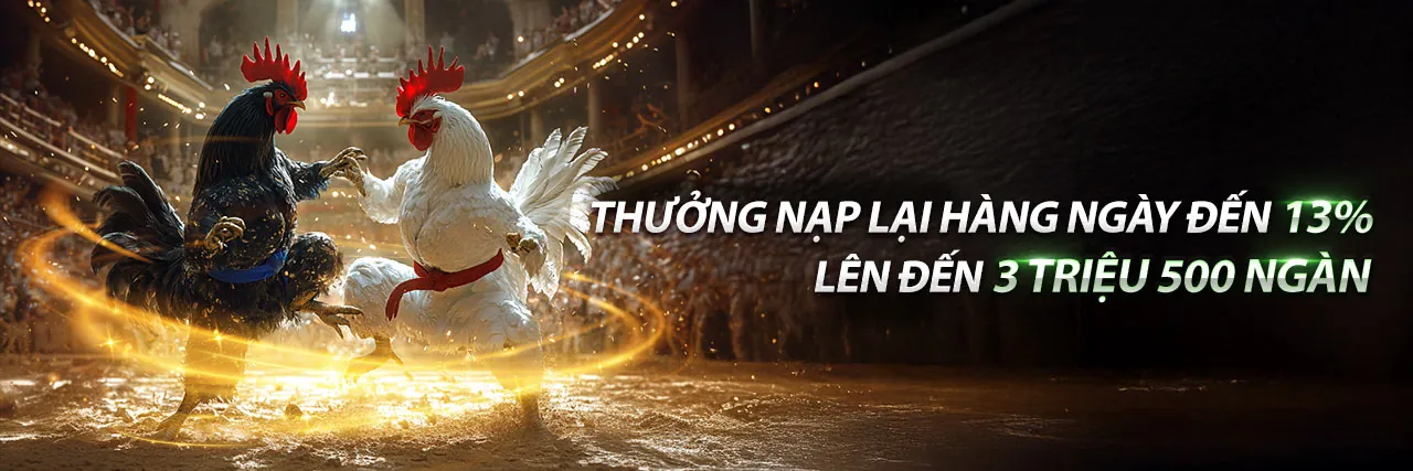 Trải nghiệm đá gà trực tuyến đỉnh cao tại 789p30 chính thức